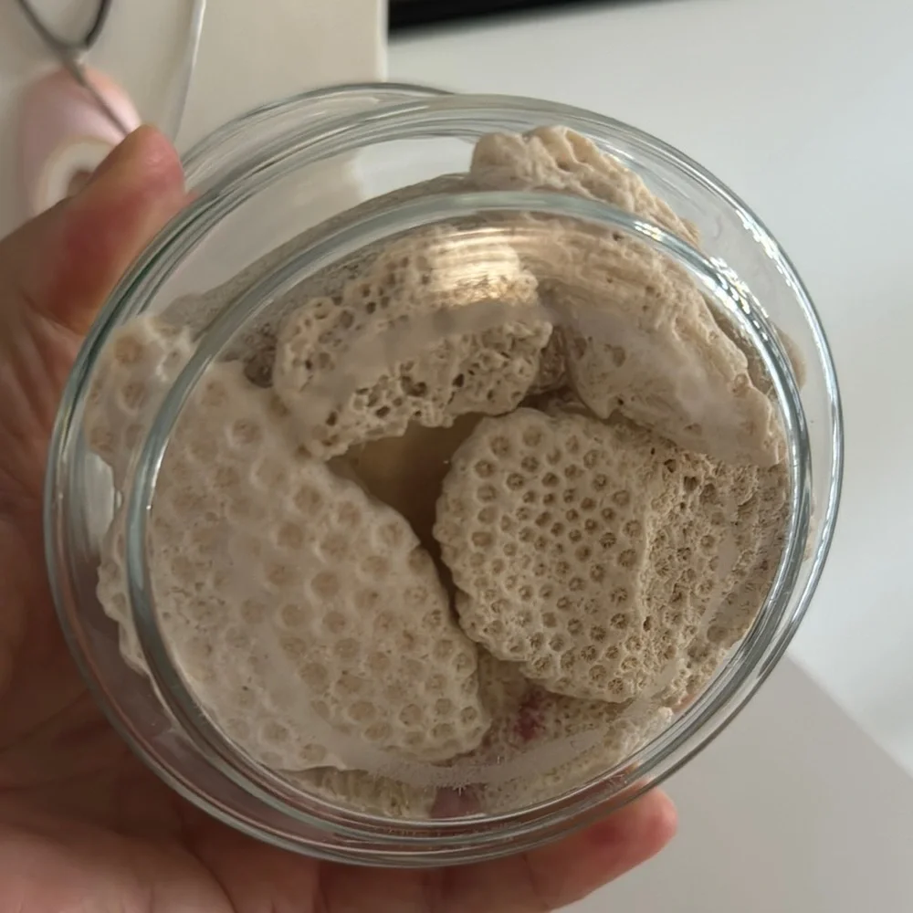 Coral Pieces in Small Apothecary Jar